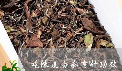 吃陈皮白茶有什功效/2023121783795