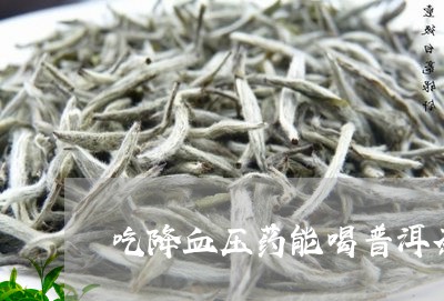 吃降血压药能喝普洱茶/2023061671614