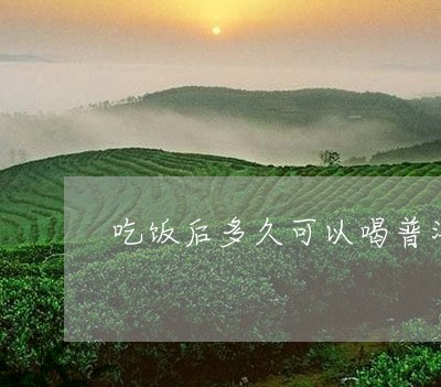 吃饭后多久可以喝普洱茶熟茶/2023112605048