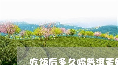 吃饭后多久喝普洱茶好不好/2023121524157