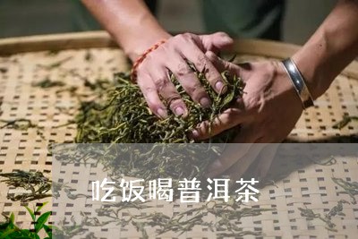 吃饭喝普洱茶/2023042996471