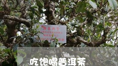 吃饱喝普洱茶/2023042692946