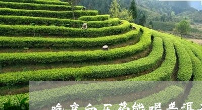 吃高血压药能喝普洱茶/2023093029392