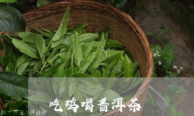 吃鸡喝普洱茶/2023042519694