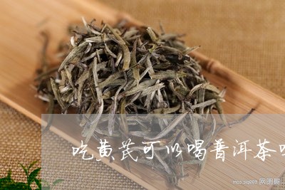 吃黄芪可以喝普洱茶吗/2023062915937