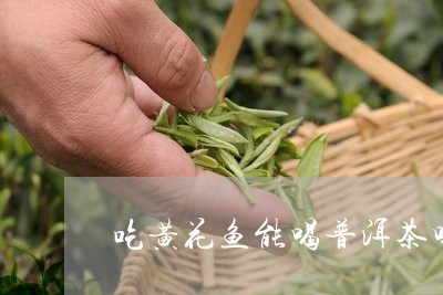 吃黄花鱼能喝普洱茶吗/2023072225737