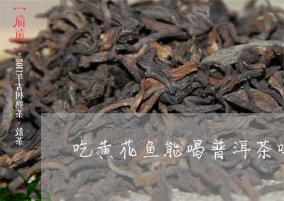 吃黄花鱼能喝普洱茶吗/2023092700503