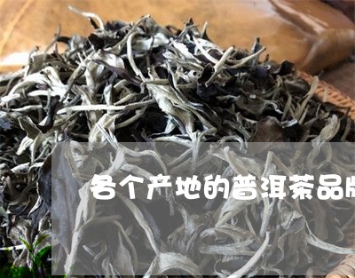 各个产地的普洱茶品牌有哪些/2023082909372