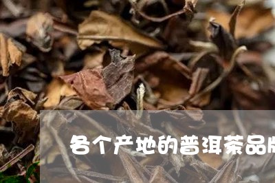 各个产地的普洱茶品牌有哪些/2023121515171