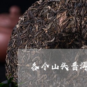 各个山头普洱茶的代表/2023120786146