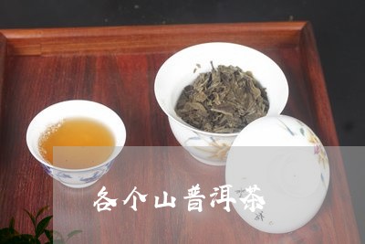 各个山普洱茶/2023042780731