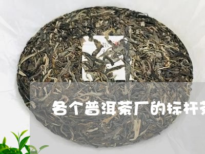 各个普洱茶厂的标杆茶/2023062771716