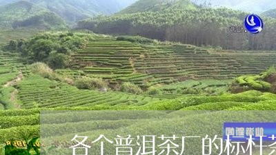 各个普洱茶厂的标杆茶/2023100863605