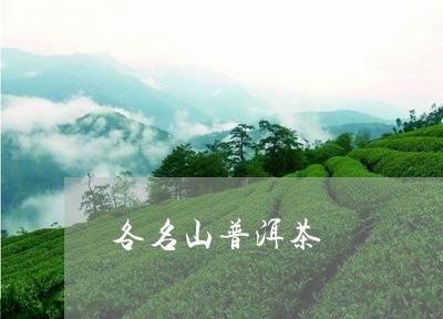 各名山普洱茶/2023042846478