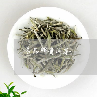 各品牌普洱茶/2023042909686