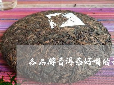 各品牌普洱茶好喝的茶/2023080331616