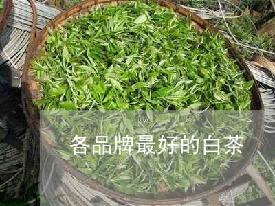 各品牌最好的白茶/2023061395268