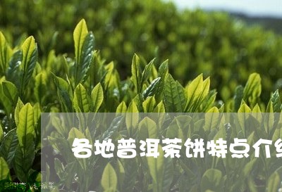 各地普洱茶饼特点介绍/2023120783938