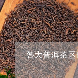 各大普洱茶区的茶特点及特点/2023082964036