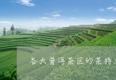 各大普洱茶区的茶特点和特点/2023082946393