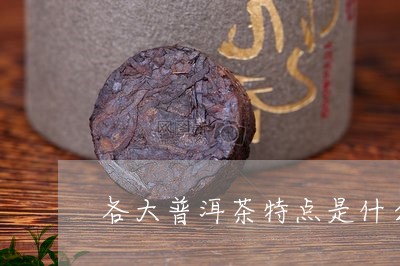 各大普洱茶特点是什么/2023062414958