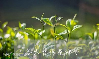 各大普洱茶评分/2023120348260