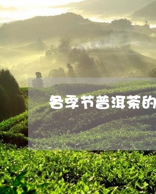 各季节普洱茶的区别图片/2023082424608