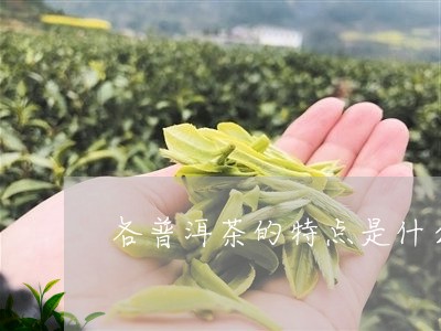 各普洱茶的特点是什么/2023092723746