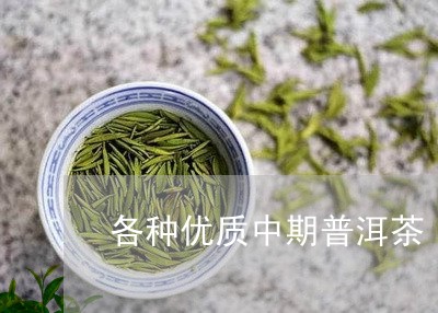 各种优质中期普洱茶/2023112447161