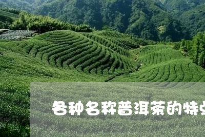 各种名称普洱茶的特点/2023080123514