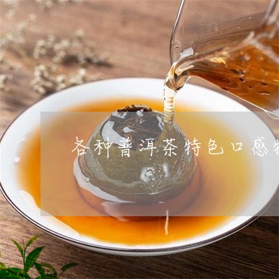 各种普洱茶特色口感特点/2023110509592