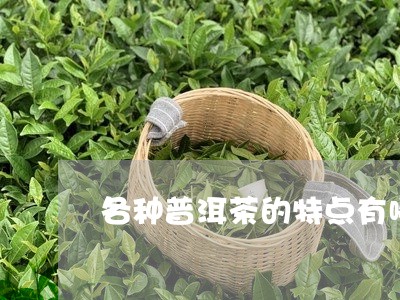 各种普洱茶的特点有哪些/2023101013159