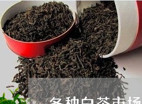 各种白茶市场的价格/2023121715071