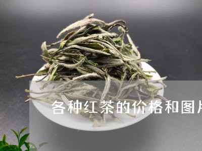 各种红茶的价格和图片/2023071692615