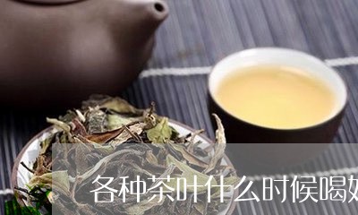 各种茶叶什么时候喝好/2023092380603