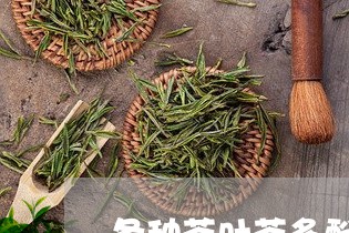 各种茶叶茶多酚含量比较经常喝茶叶/2023060439483