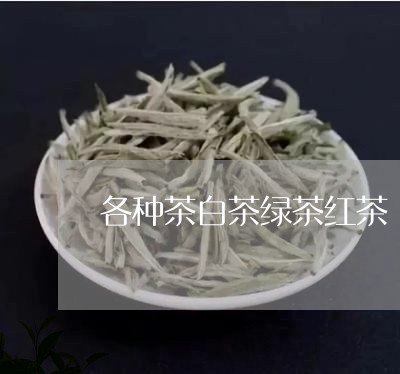 各种茶白茶绿茶红茶/2023071601694