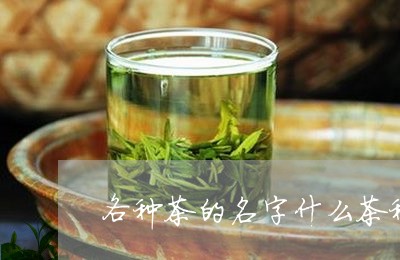 各种茶的名字什么茶种/2023060846369