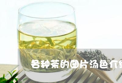 各种茶的图片汤色介绍/2023060924716