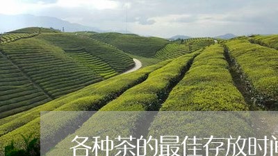 各种茶的最佳存放时间/2023071545259