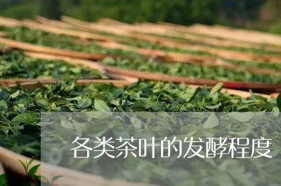 各类茶叶的发酵程度/2023042525038