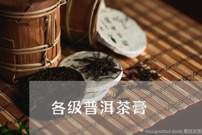 各级普洱茶膏/2023042768394