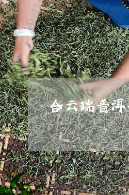 合云瑞普洱茶/2023112572503