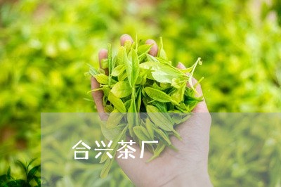 合兴茶厂/2023121908480