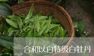 合和以白特级白牡丹/2023120940604