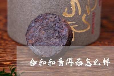 合和和普洱茶怎么样/2023092720404