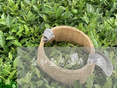 合和壹号福鼎白茶/2023112651693