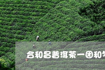 合和昌普洱茶一团和气/2023062876138