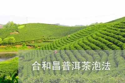 合和昌普洱茶泡法/2023121513969