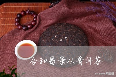 合和昌景从普洱茶/2023110934827